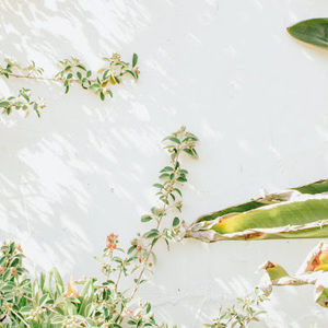 Meet your Posher, Karina